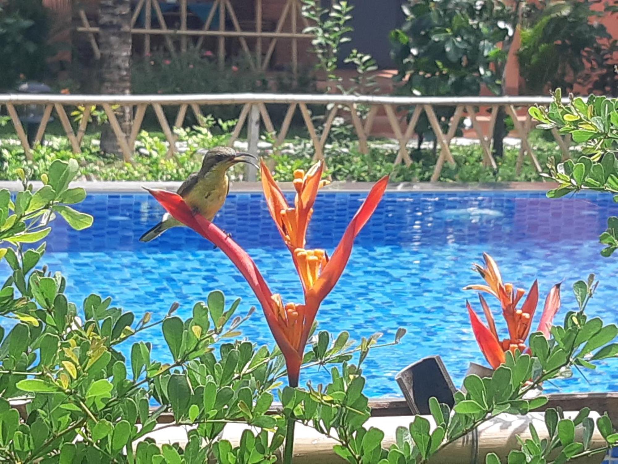 Anan Boutique Bungalows With Private Kitchen Phu Quoc Extérieur photo