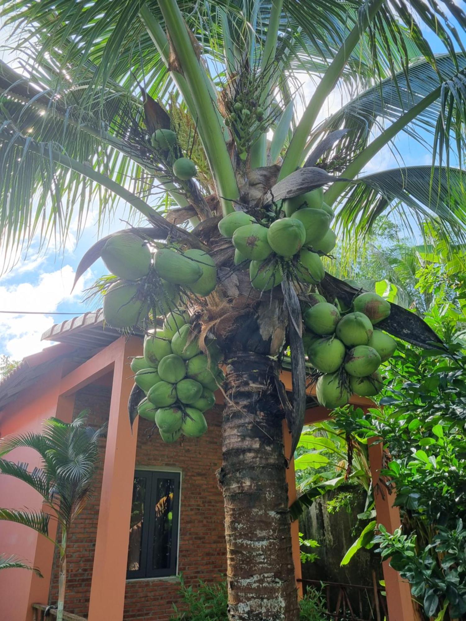 Anan Boutique Bungalows With Private Kitchen Phu Quoc Extérieur photo