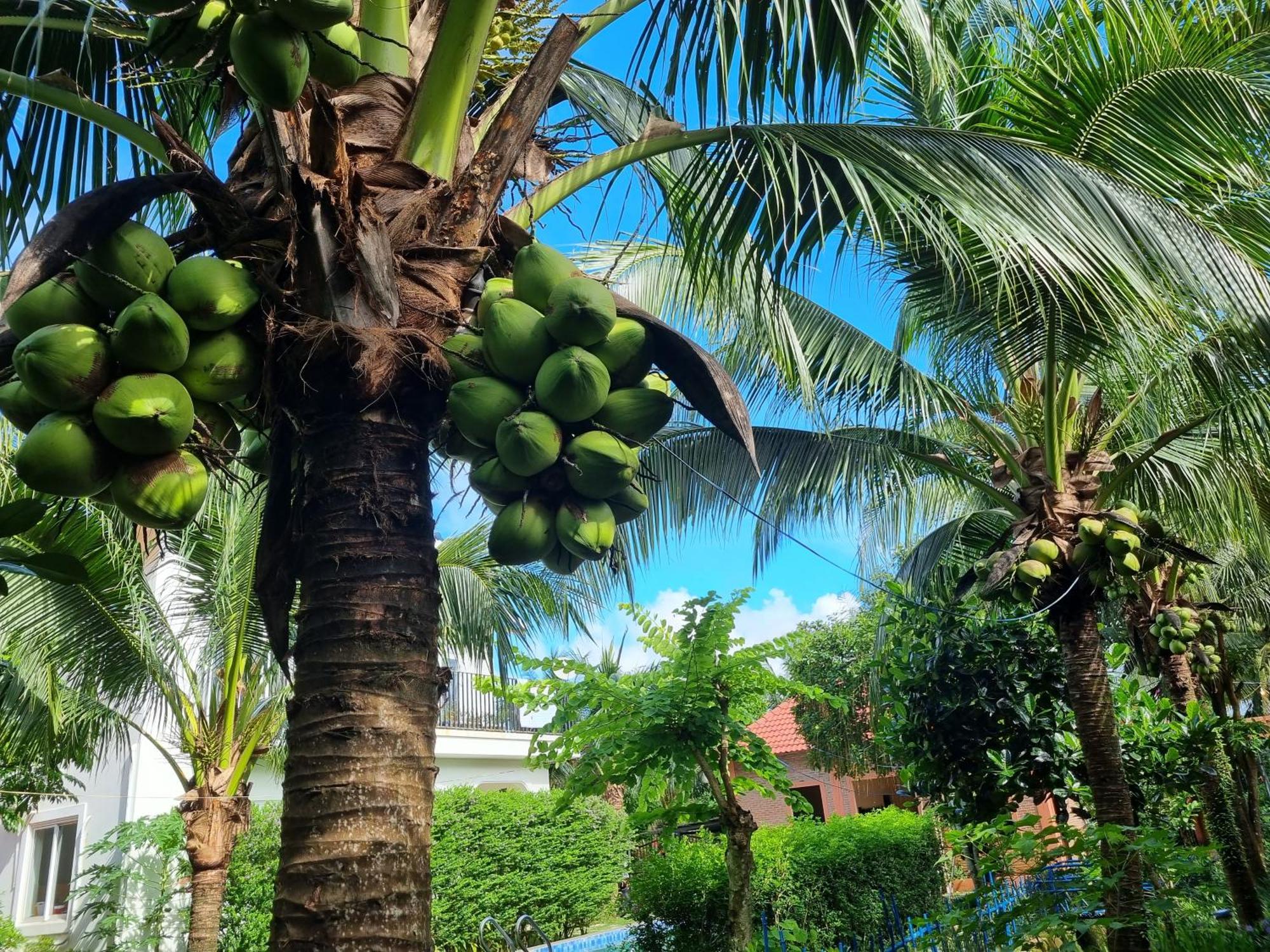 Anan Boutique Bungalows With Private Kitchen Phu Quoc Extérieur photo